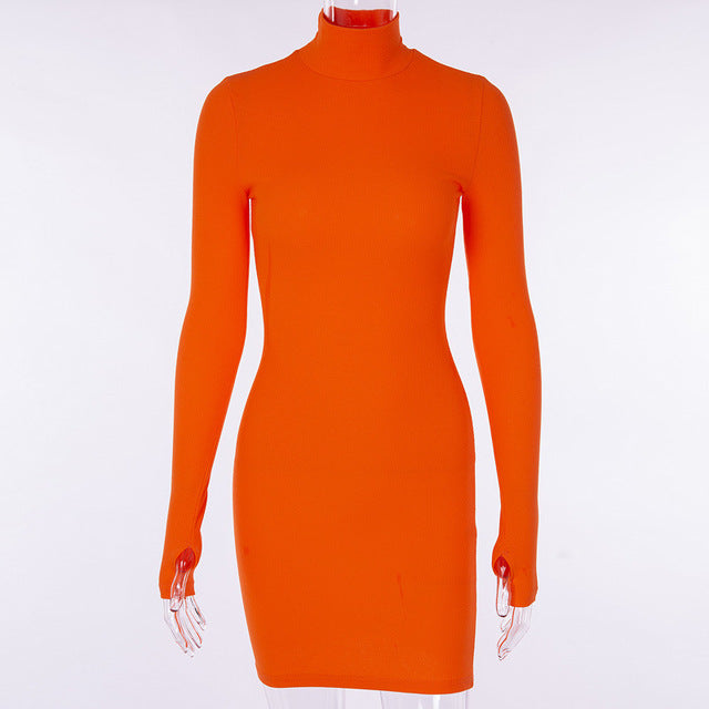 Women's Turtleneck Long Sleeve Skinny Mini Dress